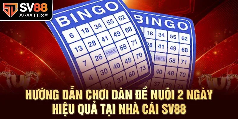 Hướng dẫn chơi dàn đề nuôi 2 ngày hiệu quả tại nhà cái sv88